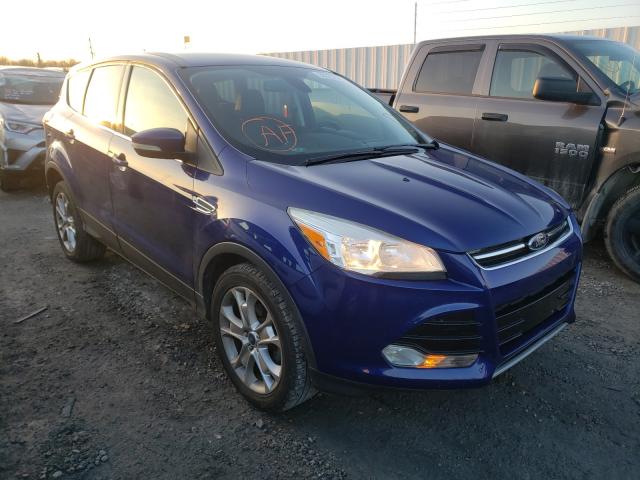 ford escape sel 2013 1fmcu0hx1duc72036