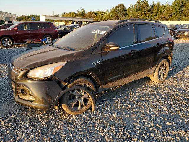 ford escape sel 2013 1fmcu0hx2duc69789