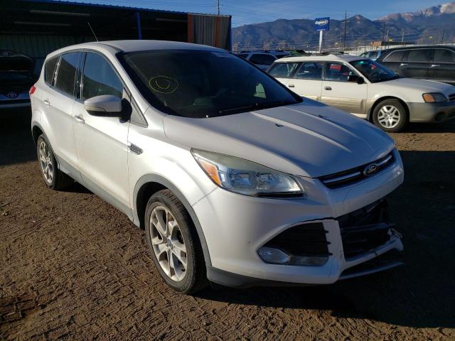 ford escape sel 2013 1fmcu0hx7duc55239