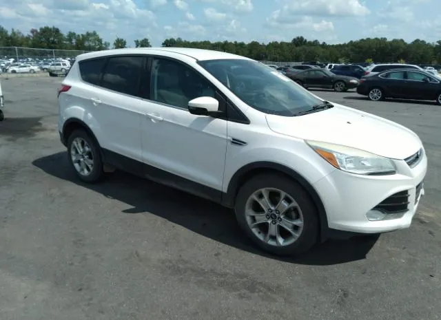 ford escape 2013 1fmcu0hxxduc08349