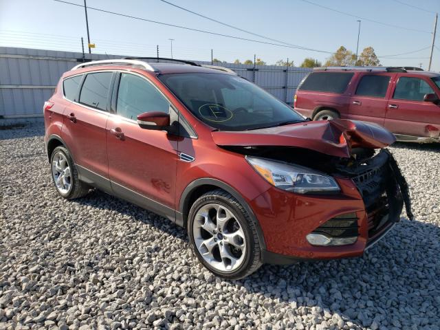 ford  2014 1fmcu0j99eud24428