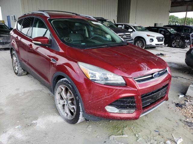 ford escape 2014 1fmcu0jx2eub23498