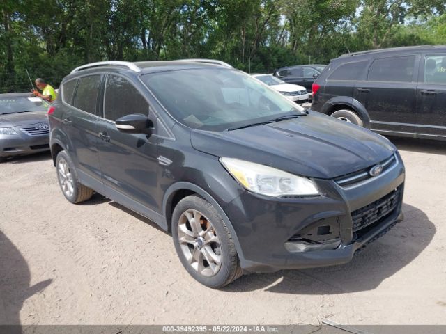 ford escape 2014 1fmcu0jx2eue38057