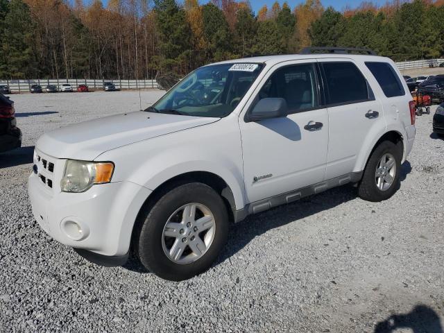 ford escape hyb 2009 1fmcu49319kd10709