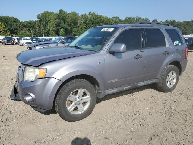 ford escape hev 2008 1fmcu49h98ka60761