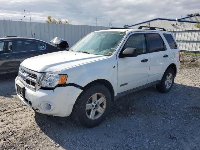 ford escape hev 2008 1fmcu49h98kd68562