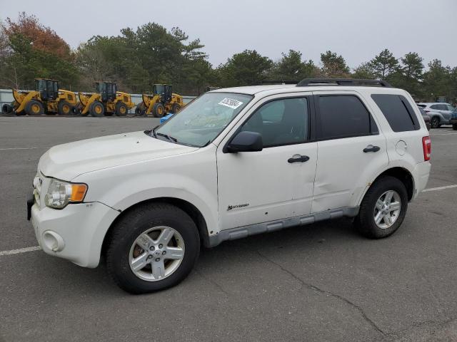 ford escape 2009 1fmcu59319kc19221