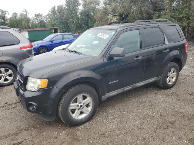 ford escape hyb 2009 1fmcu59399ka69777