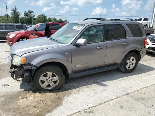 ford escape hev 2008 1fmcu59h08kc38031