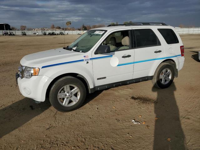 ford escape 2008 1fmcu59h68ka71044