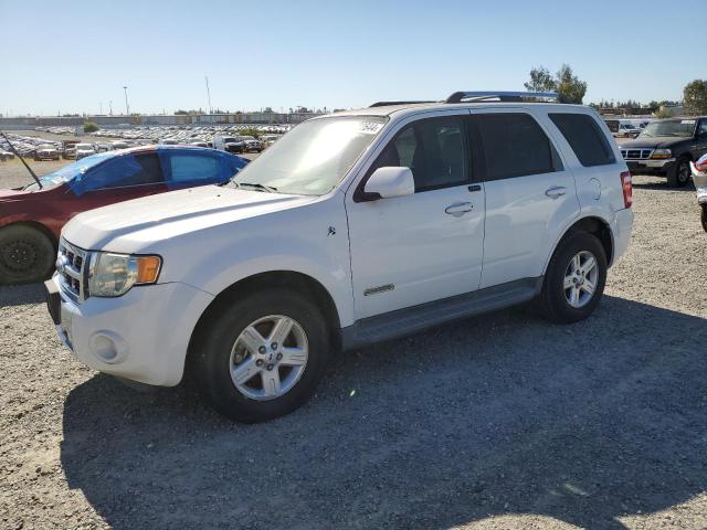 ford escape 2008 1fmcu59h78ka81744