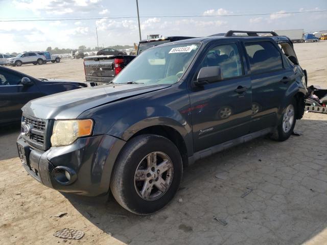 ford escape hyb 2010 1fmcu5k37akc89532