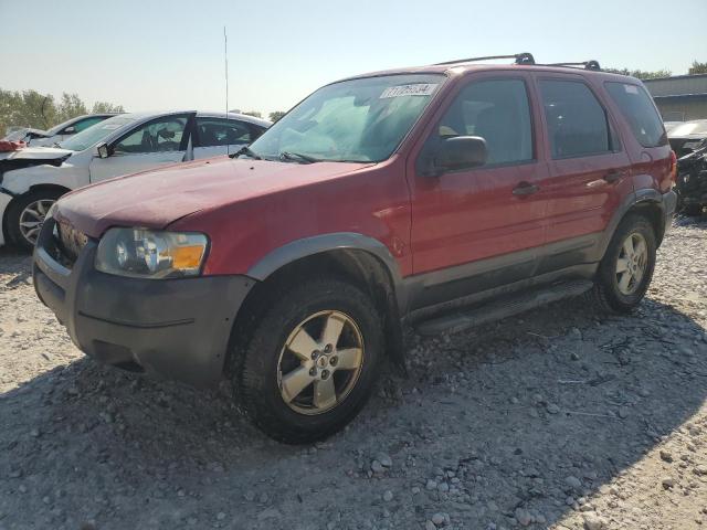 ford escape xlt 2006 1fmcu93116kc34019