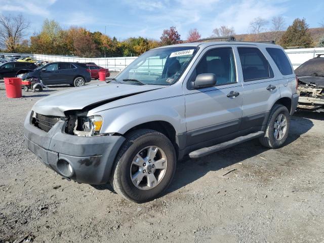 ford escape xlt 2007 1fmcu93117kb36741