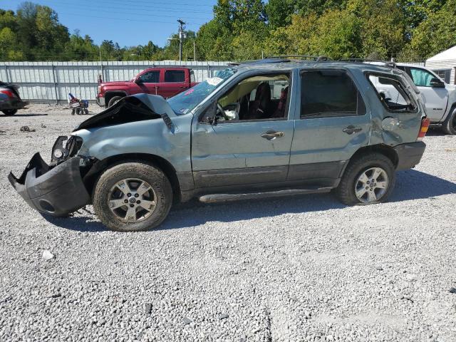 ford escape xlt 2007 1fmcu93147kc06913