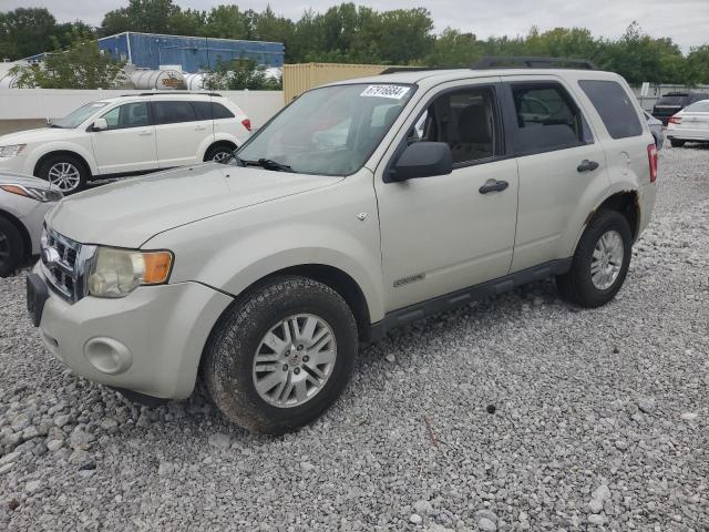 ford escape xlt 2008 1fmcu93158kc65227