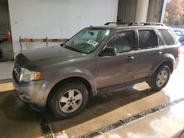 ford escape xlt 2009 1fmcu93g39kc20275