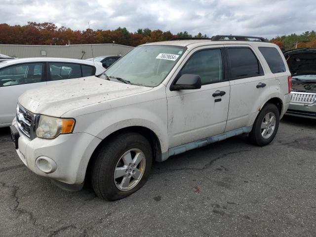 ford escape xlt 2009 1fmcu93g39kc40946