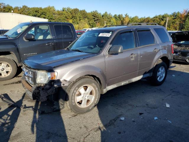 ford escape xlt 2009 1fmcu93g39kd02636