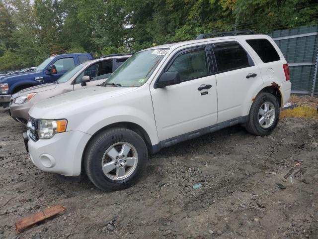 ford escape xlt 2009 1fmcu93g49ka13734