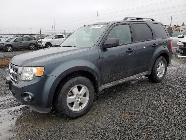 ford escape xlt 2009 1fmcu93g59kb94374