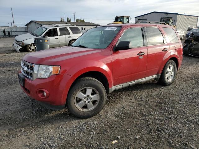 ford escape xlt 2009 1fmcu93g59kb97016