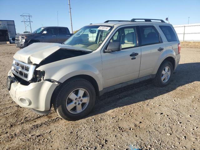 ford escape xlt 2009 1fmcu93g59kc49213