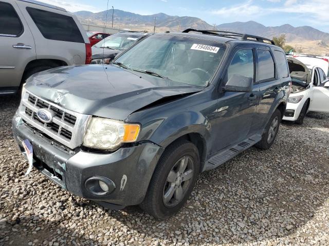 ford escape xlt 2009 1fmcu93g89ka13168