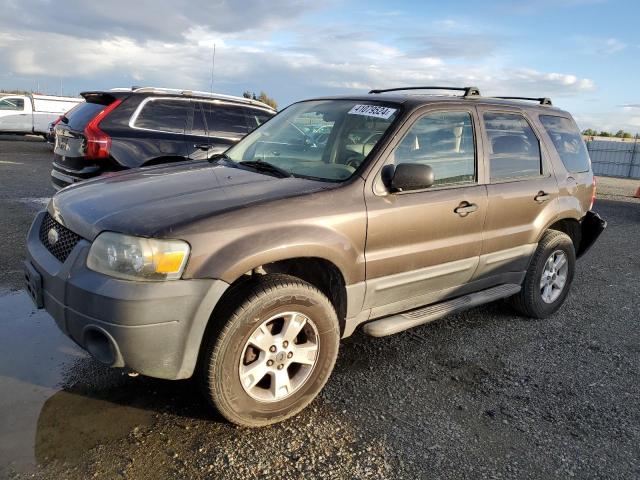 ford escape 2006 1fmcu93z26kb58798