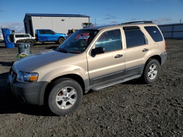 ford escape xlt 2007 1fmcu93zx7kb68870