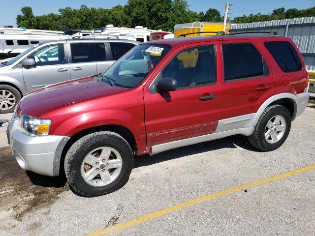 ford escape 2006 1fmcu96h16ka39742