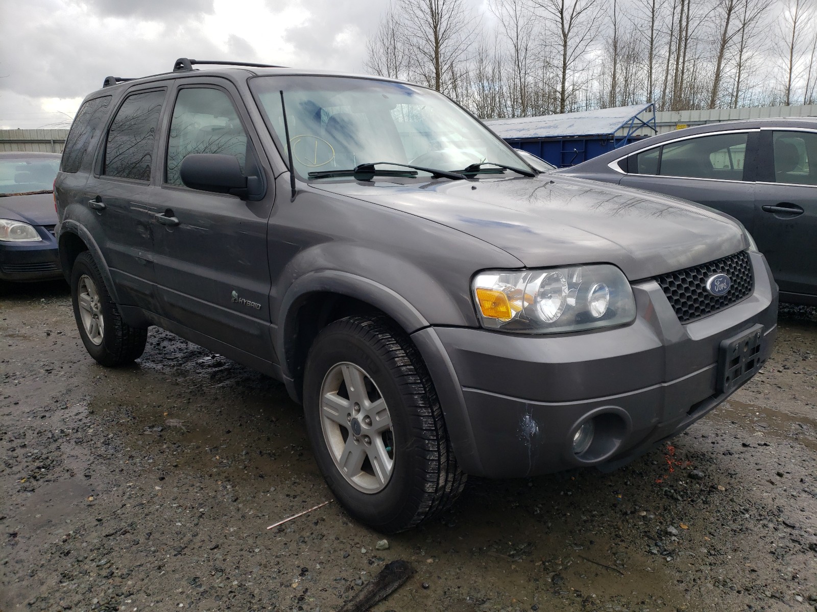 ford escape hev 2006 1fmcu96h96kb89565