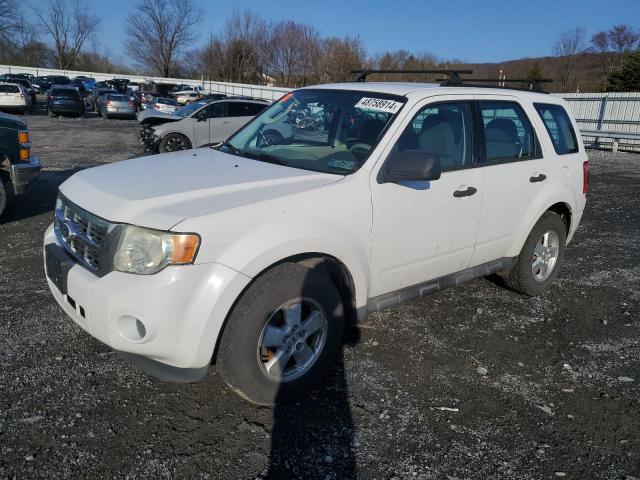 ford escape 2010 1fmcu9c79akb76691