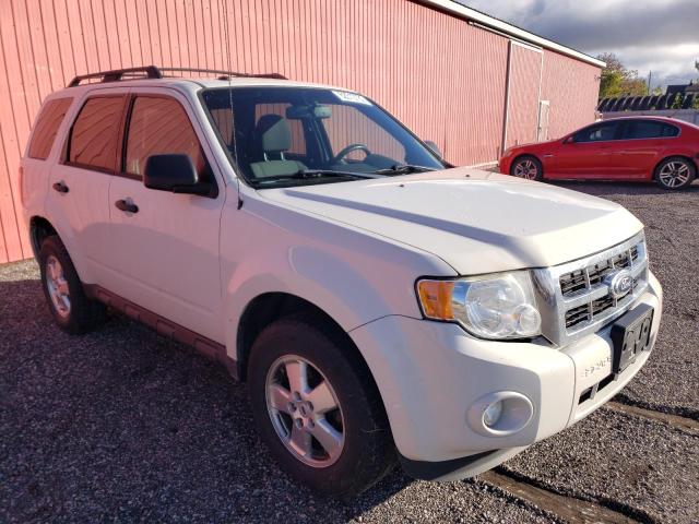 ford escape xlt 2011 1fmcu9d70bkb30425