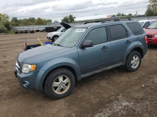 ford escape xlt 2011 1fmcu9d70bkc36681