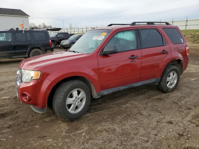 ford escape xlt 2011 1fmcu9d76bka76175