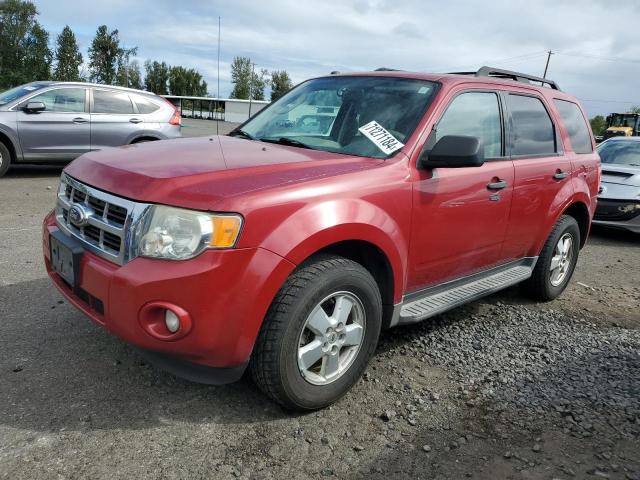 ford escape xlt 2010 1fmcu9d77akc41603