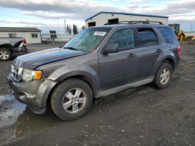 ford escape xlt 2010 1fmcu9d78aka42575