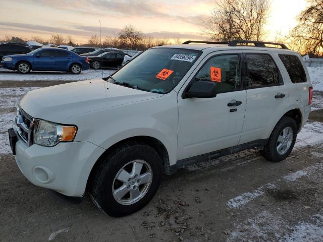 ford escape xlt 2011 1fmcu9d7xbkb55395