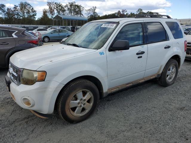 ford escape xlt 2010 1fmcu9dg0akc22035