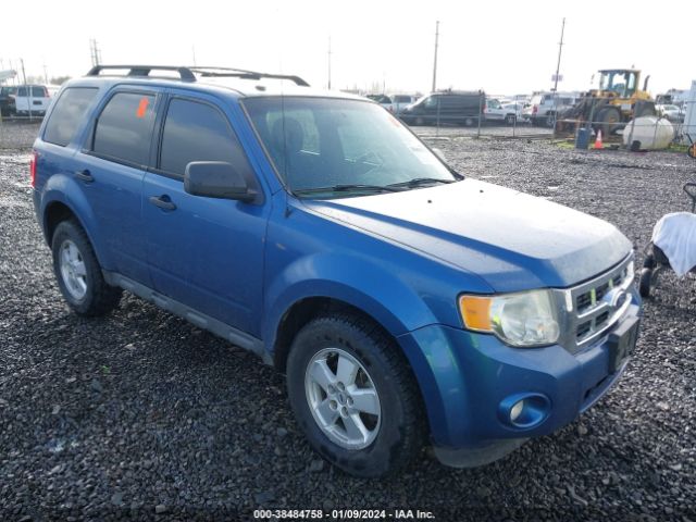 ford escape 2010 1fmcu9dg0akc68884