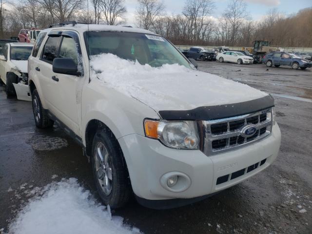 ford escape xlt 2010 1fmcu9dg0akd18215