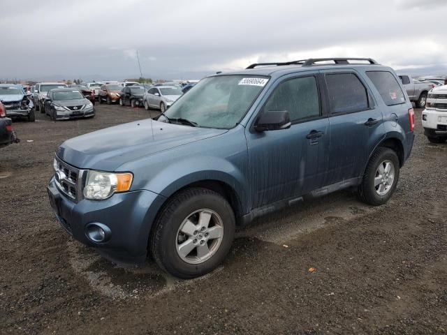 ford escape xlt 2011 1fmcu9dg0bka08714