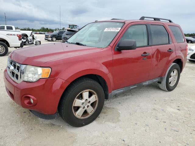 ford escape xlt 2011 1fmcu9dg0bka97832