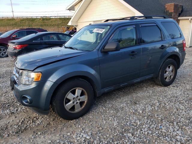 ford escape xlt 2011 1fmcu9dg0bkc70782