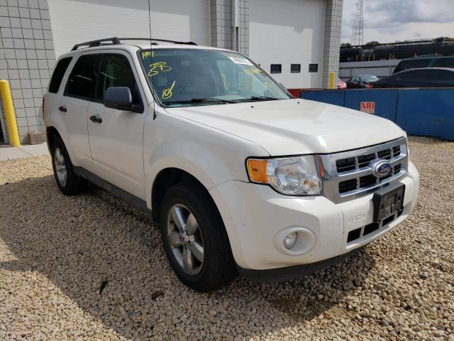 ford escape xlt 2010 1fmcu9dg1akb77350