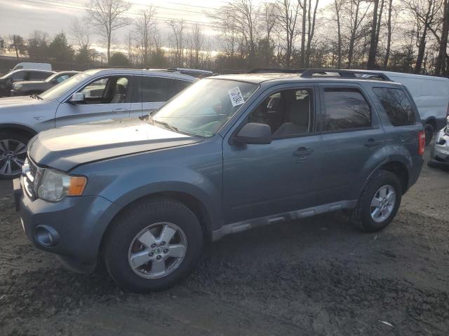 ford escape xlt 2010 1fmcu9dg1akd09801