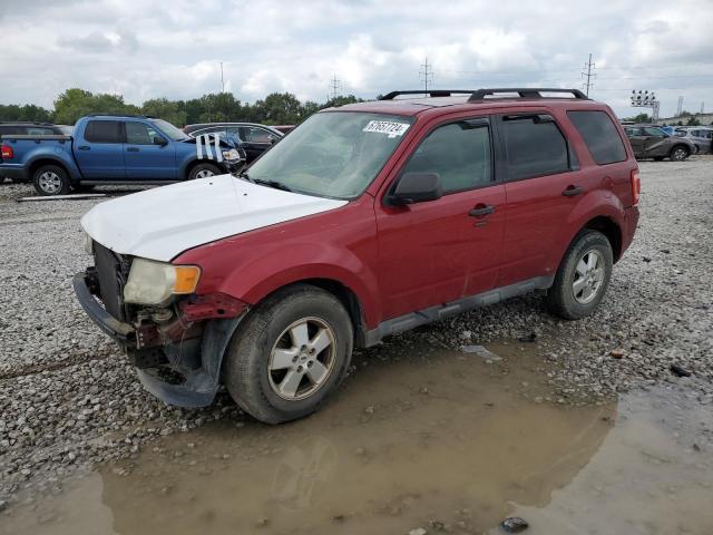 ford escape xlt 2011 1fmcu9dg1bkb96420