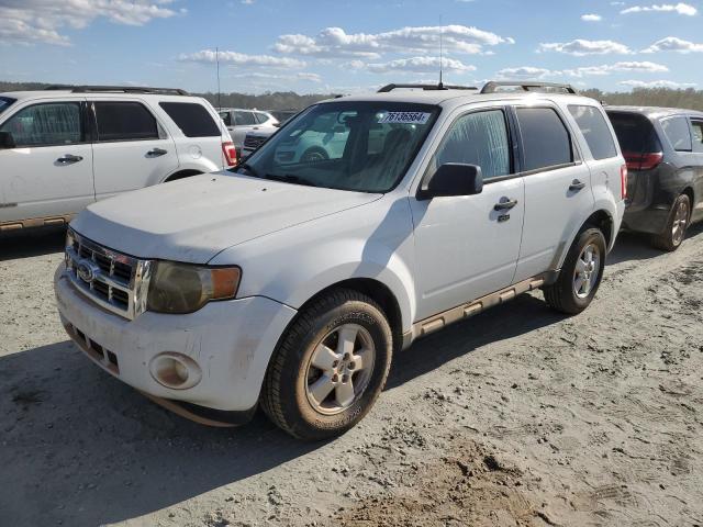 ford escape xlt 2010 1fmcu9dg2akc22036