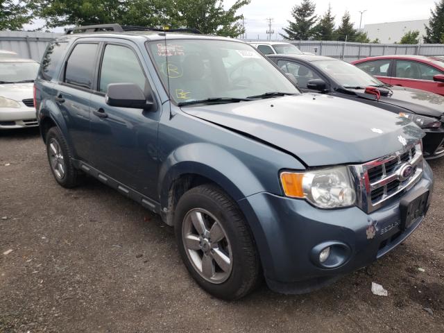 ford escape xlt 2010 1fmcu9dg2akd22704